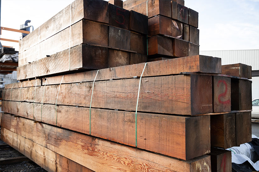 slider douglas fir